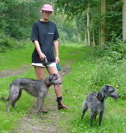 Taking Di for a Walk