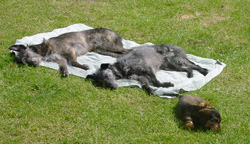 Recovery Position II